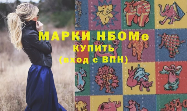 гашик Богородицк