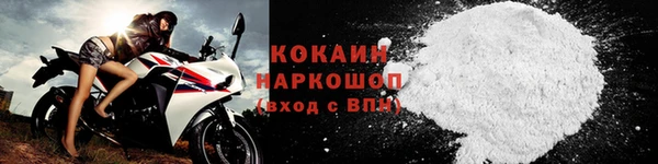 шишки Беломорск