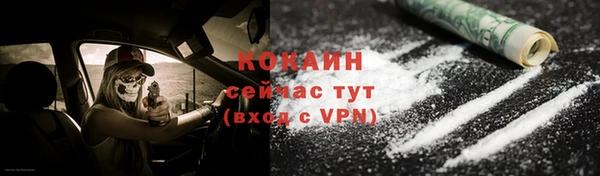 шишки Белокуриха