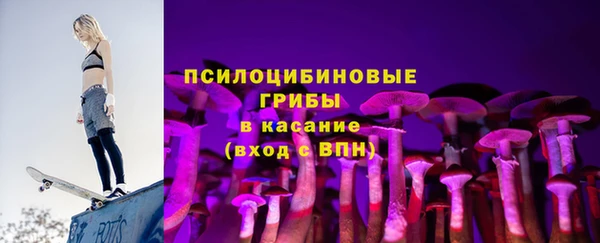 шишки Беломорск