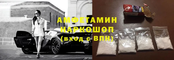шишки Белокуриха
