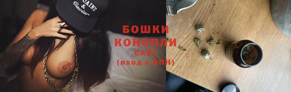гашик Богородицк