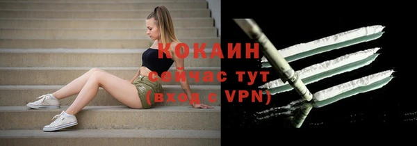 шишки Беломорск
