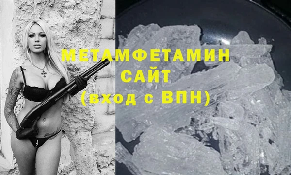 шишки Белокуриха