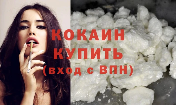 шишки Беломорск