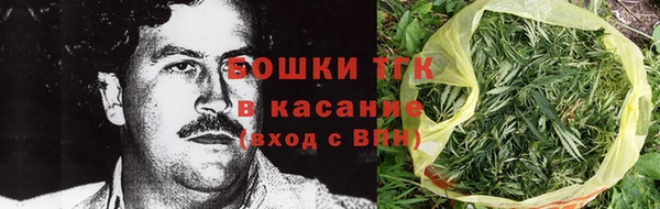гашик Богородицк