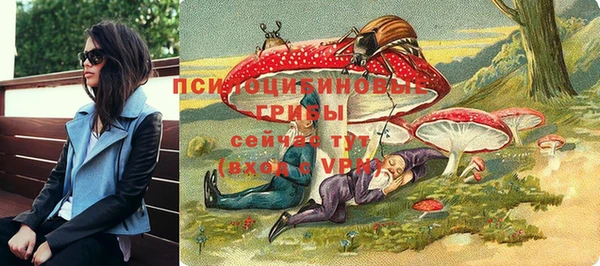 молекула духа Белоозёрский
