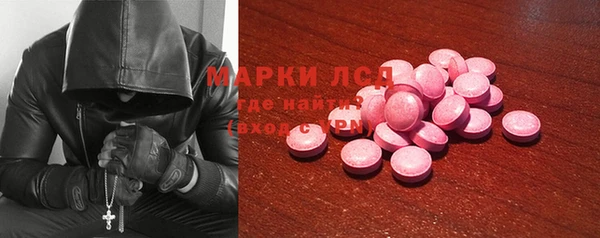 шишки Беломорск