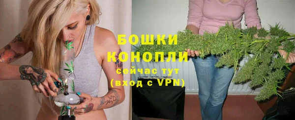 молекула духа Белоозёрский