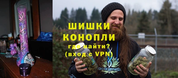 шишки Белокуриха