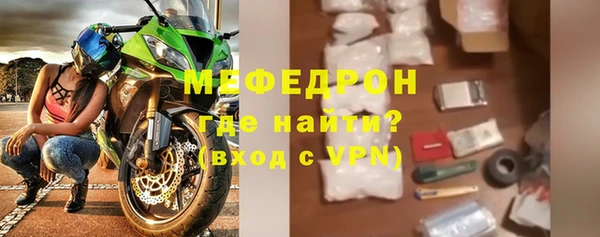 шишки Белокуриха